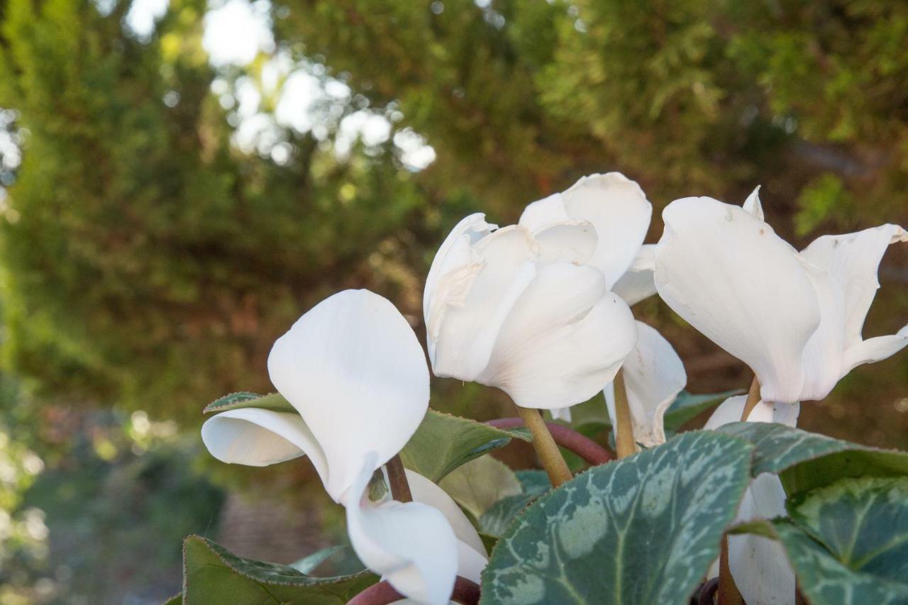 B&B La Veranda Licata Dış mekan fotoğraf